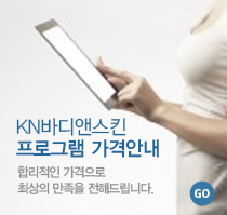 프로그램가격